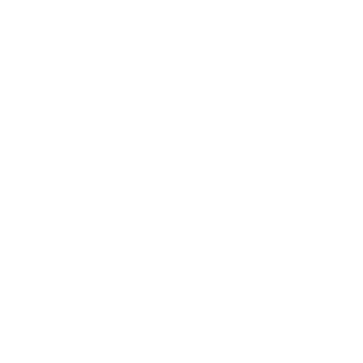 Baizi Sports